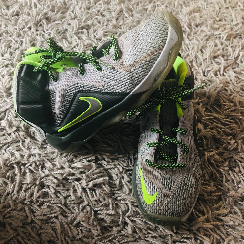 Lebron James Nike XII 12 dunk force Td size 2 Y